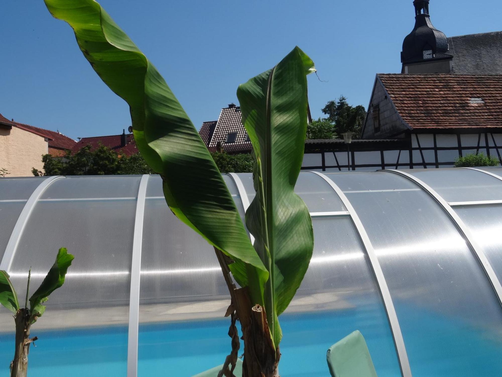 Pension Und Gaestehaus Paffrath Grossbrembach Exteriér fotografie
